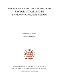 The Role of Fibroblast Growth Factor Signalling in Epimorphic Regeneration