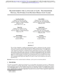 Transformer Neural Networks for Protein Prediction Tasks