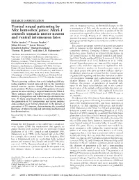 Ventral Neural Patterning by Nkx Homeobox Genes: Nkx6.1 Controls Somatic Motor Neuron and Ventral Interneuron Fates