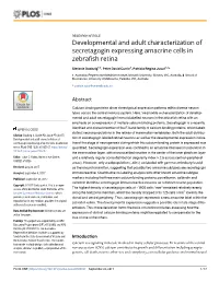 Developmental and Adult Characterization of Secretagogin Expressing Amacrine Cells in Zebrafish Retina