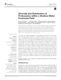 Diversity and Distribution of Prokaryotes Within a Shallow-Water Pockmark Field
