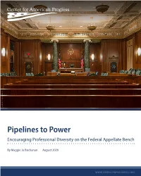 Pipelines to Power Encouraging Professional Diversity on the Federal Appellate Bench