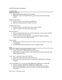 2020 NDA Routine Descriptions TEAM DANCE Ignite