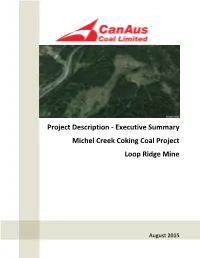 Executive Summary Michel Creek Coking Coal Project Loop Ridge Mine