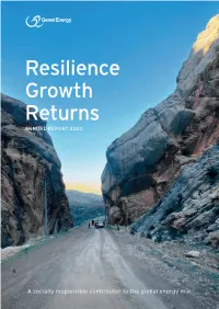 Resilience Growth Returns ANNUAL REPORT 2020