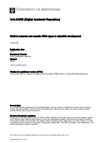 Rrna Types in Zebrafish Development