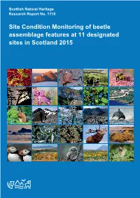 SNH Research Report 1115: Site Condition Monitoring of Beetle