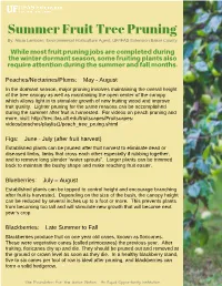 Summer Fruit Tree Pruning