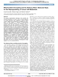 Mitochondrial Uncoupling and the Warburg Effect: Molecular Basis for the Reprogramming of Cancer Cell Metabolism