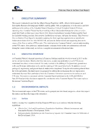 1 Executive Summary