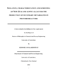 Of New Zealand Alpine Algae for the Production of Secondary