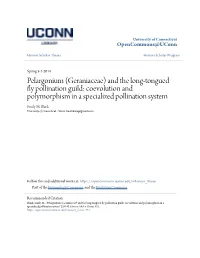 Pelargonium (Geraniaceae) and the Long-Tongued Fly Pollination Guild: Coevolution and Polymorphism in a Specialized Pollination System Emily M