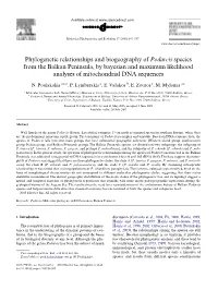 Phylogenetic Relationships and Biogeography of Podarcis Species from the Balkan Peninsula, by Bayesian and Maximum Likelihood Analyses of Mitochondrial DNA Sequences