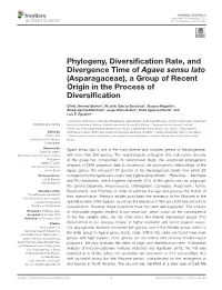 Phylogeny, Diversification Rate, and Divergence Time of Agave Sensu Lato