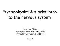 Psychophysics & a Brief Intro to the Nervous System