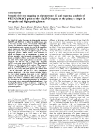 Somatic Deletion Mapping on Chromosome 10 and Sequence Analysis of PTEN/MMAC1 Point to the 10Q25-26 Region As the Primary Target in Low-Grade and High-Grade Gliomas