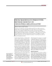 From Sequence to Phenotype: Reverse Genetics in Drosophila Melanogaster