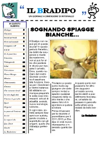 IL BRADIPO UN GIORNALE a DIMENSIONE DI INTERVALLO ” in QUESTO NUMERO Dialogo 2 SOGNANDO SPIAGGE Giustizia 3 BIANCHE