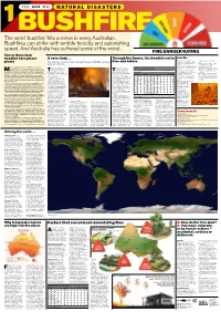 The Word 'Bushfire' Hits a Nerve in Every Australian. Bushfires Can