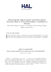 Diatom-Specific Oligosaccharide And