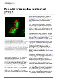 Molecular Forces Are Key to Proper Cell Division 21 January 2013