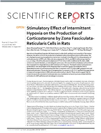Stimulatory Effect of Intermittent Hypoxia on the Production Of