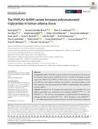 The PNPLA3‐I148M Variant Increases Polyunsaturated Triglycerides in Human Adipose Tissue