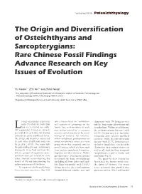 The Origin and Diversification of Osteichthyans and Sarcopterygians: Rare Chinese Fossil Findings Advance Research on Key Issues of Evolution