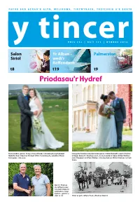 Y Tincer Hydref