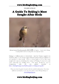 A Guide to Beijing's Most Sought-After Birds