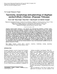 Taxonomy, Morphology and Palynology of Aegilops Vavilovii (Zhuk.) Chennav
