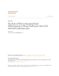 The Role of Tbx5 in Sinoatrial Node Differentiation in Mouse Embryonic Stem Cell Derived Cardiomyocytes Yunkai Dai Clemson University, Yunkaidai@Gmail.Com