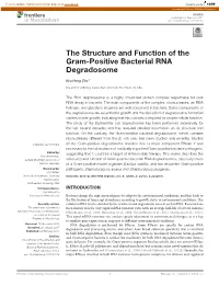 The Structure and Function of the Gram-Positive Bacterial RNA Degradosome