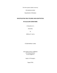 Open Leamy Phd Thesis Final.Pdf