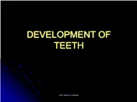 Development of Teeth