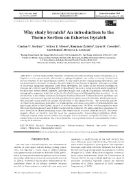 Why Study Bycatch? an Introduction to the Theme Section on Fisheries Bycatch