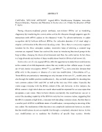 ABSTRACT CANTARA, WILLIAM ANTHONY. Arginyl-Trna Modifications Modulate Anticodon Domain Structure, Function and Dynamics in Esch