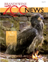 In This Issue Spring 2013