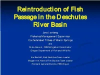 Reintroduction of Fish Passage in the Deschutes River Basin
