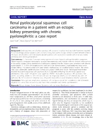 Renal Pyelocalyceal Squamous Cell Carcinoma in a Patient with An