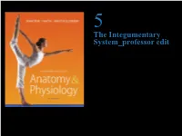 The Integumentary System Professor Edit