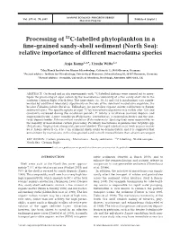 Processing of 13C-Labelled Phytoplankton in a Fine-Grained Sandy-Shelf Sediment (North Sea): Relative Importance of Different Macrofauna Species