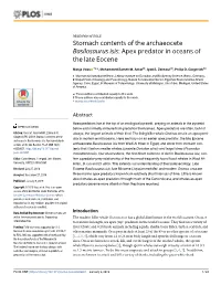 Stomach Contents of the Archaeocete Basilosaurus Isis: Apex Predator in Oceans of the Late Eocene
