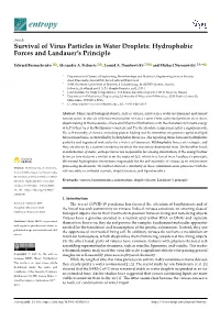 Survival of Virus Particles in Water Droplets: Hydrophobic Forces and Landauer’S Principle
