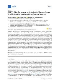 TRPV1-Like Immunoreactivity in the Human Locus K, a Distinct Subregion of the Cuneate Nucleus