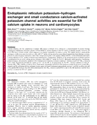Endoplasmic Reticulum Potassium–Hydrogen Exchanger and Small