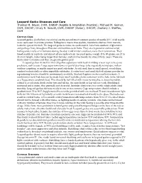Leopard Gecko Diseases and Care Thomas H. Boyer, DVM, DABVP (Reptile & Amphibian Practice); Michael M