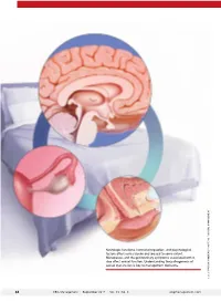 Neurologic Functions, Hormonal Regulation, and Psychological Factors Affect Sexual Desire and Arousal to Some Extent