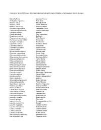 Checklist of Kansas Fishes