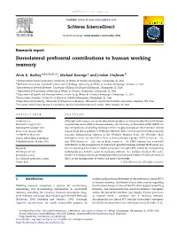 Barbey Cortex Dlpfc Working Memory.Pdf